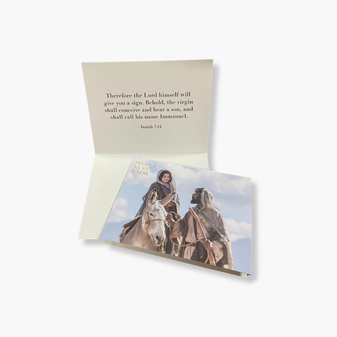 2025 Boxed Christmas Cards
